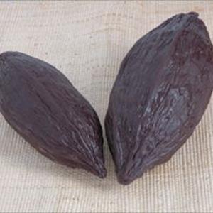 Molde Fruto del Cacao grande