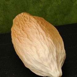 Molde Fruto del Cacao grande