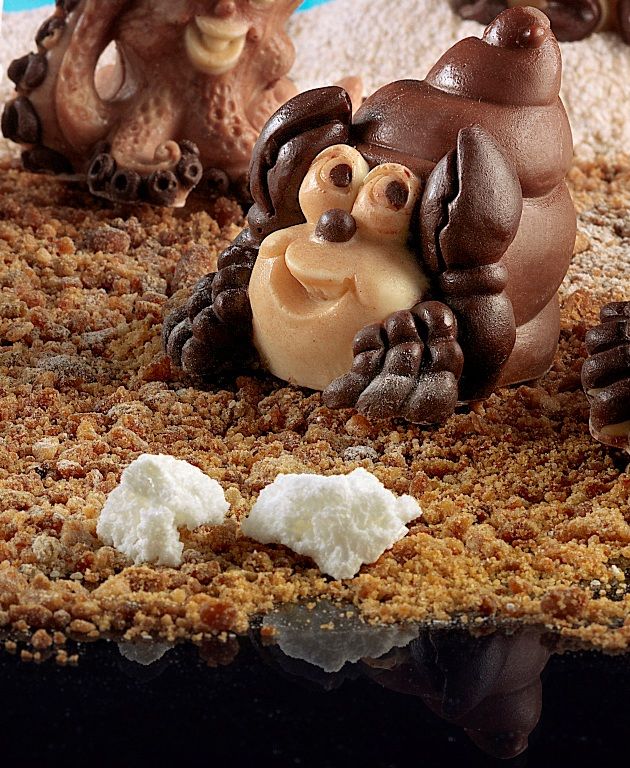 Cangrejo Ermitaño moldes animales para chocolate