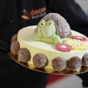 Molde Tortugo Turbo