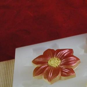 Molde Flor de Nochebuena