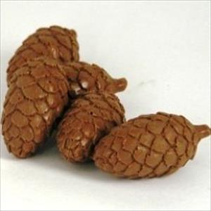 Molde Conos de Pino o Piñas de Pino