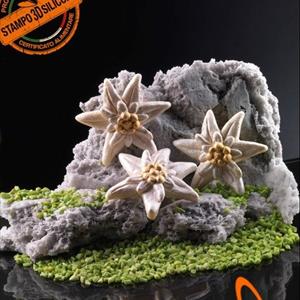 Molde Flor de Edelweiss