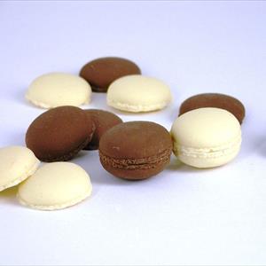 Molde Galletas Macarons franceses