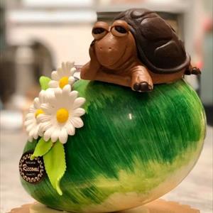 Molde Tortugo Turbo
