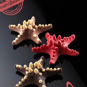 Molde Estrella de mar