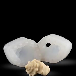Molde de concha Strombus Alatus