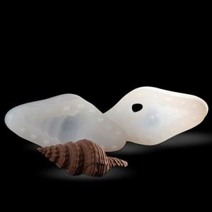 Molde de concha Ranella Olearium