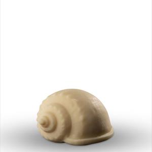 Molde de concha Cassidaria