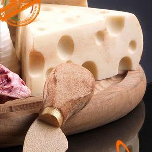 Molde de queso Emmenthal