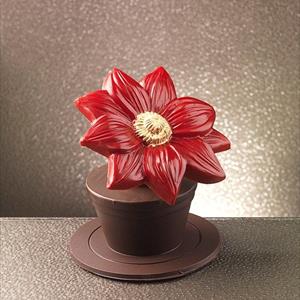 Molde Flor de Nochebuena grande