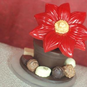 Molde Flor de Nochebuena grande