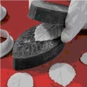 Molde de silicona Hoja F