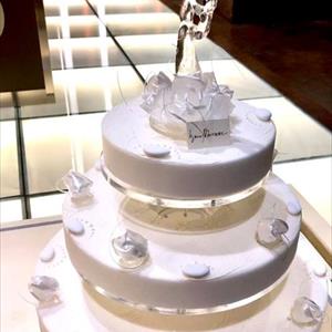 Molde La novia y el novio en los brazos